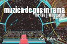 Muzica de pus in rama