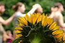 Turneu: Osho "Omul Total - Ritmul Celebrarii"