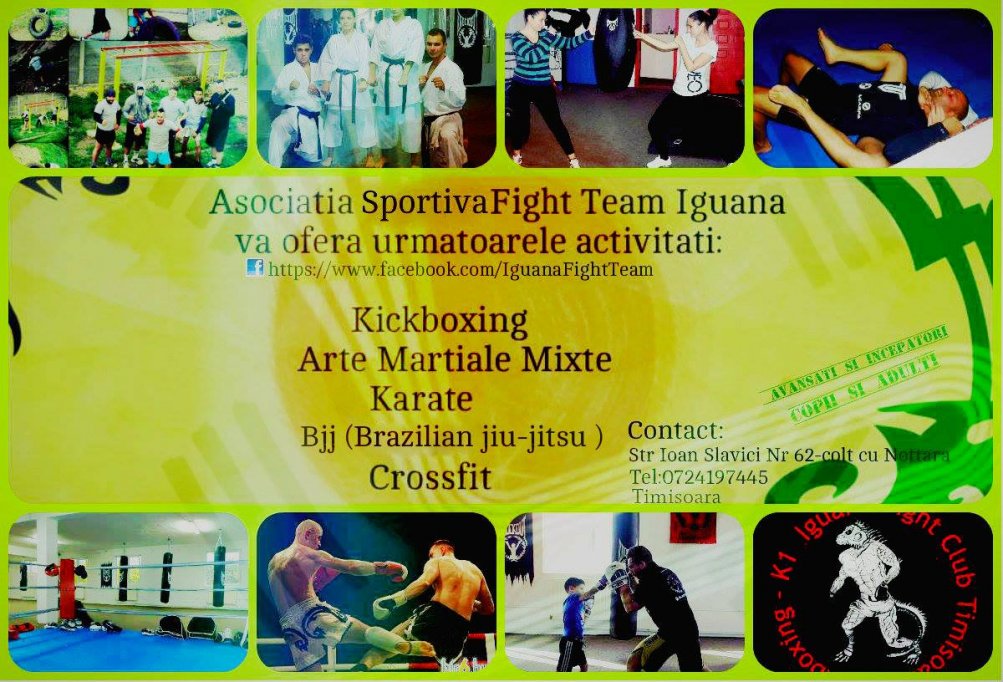 Cursuri de Arte martiale - Kick-boxing, MMA, Brazilian jiu-jitsu, Karate