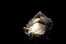 Patricia Teodorescu - ROSE – Breath
