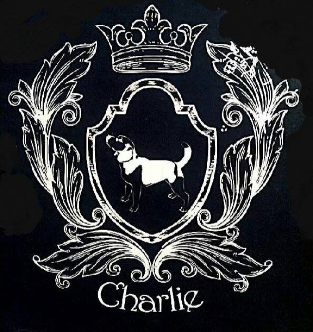 Charlie's Pub