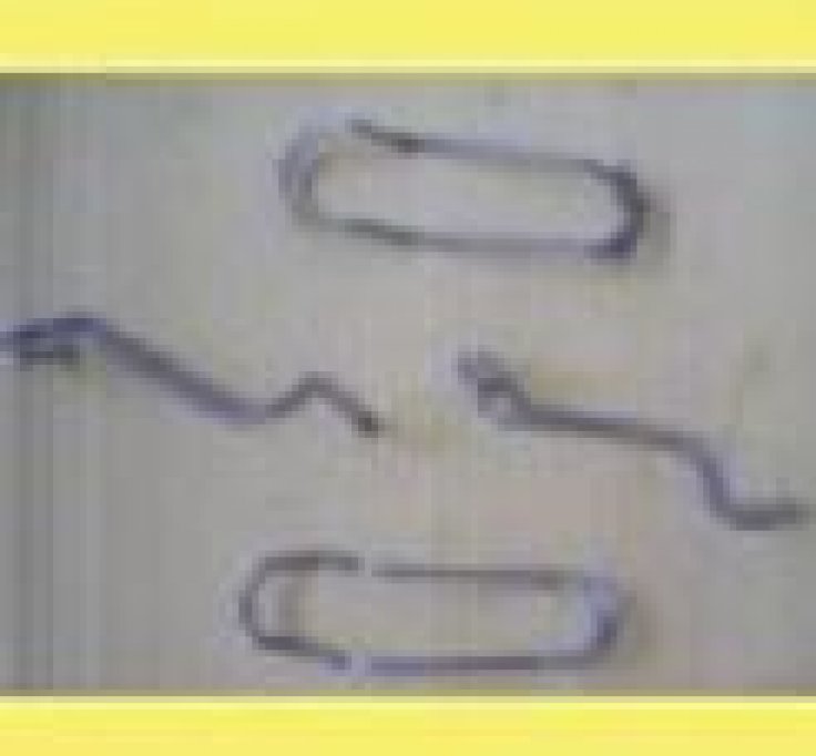 Clema pentru fixare tutori