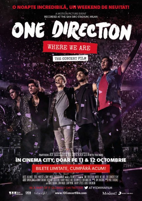One Direction: Where We Are - The Concert Film