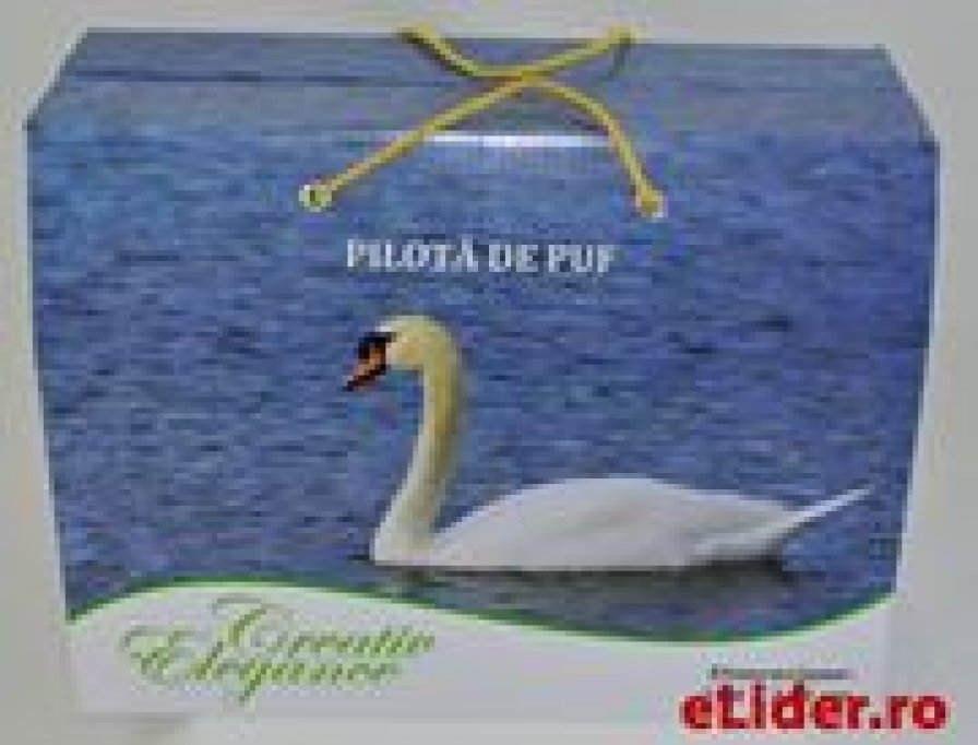 Pilote cu puf de gasca si pilote 4 anotimpuri