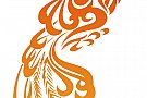 Spring Phoenix