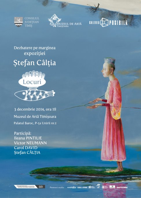 Dezbatere Stefan Caltia.Locuri