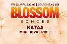 blossom Blossom Echoes