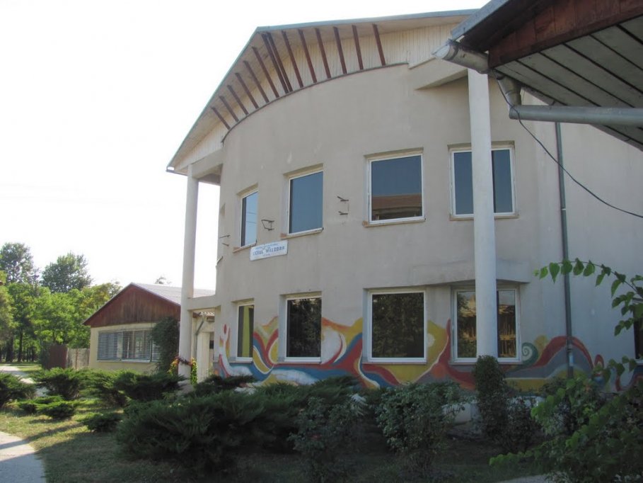 Liceul Waldorf