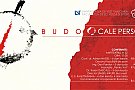 Budo - Eveniment de arte martiale traditionale japoneze