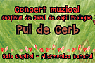 Concert muzical - Pui de cerb