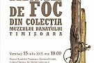 Expozitia „Arme de foc din colectia Muzeului Banatului Timisoara"