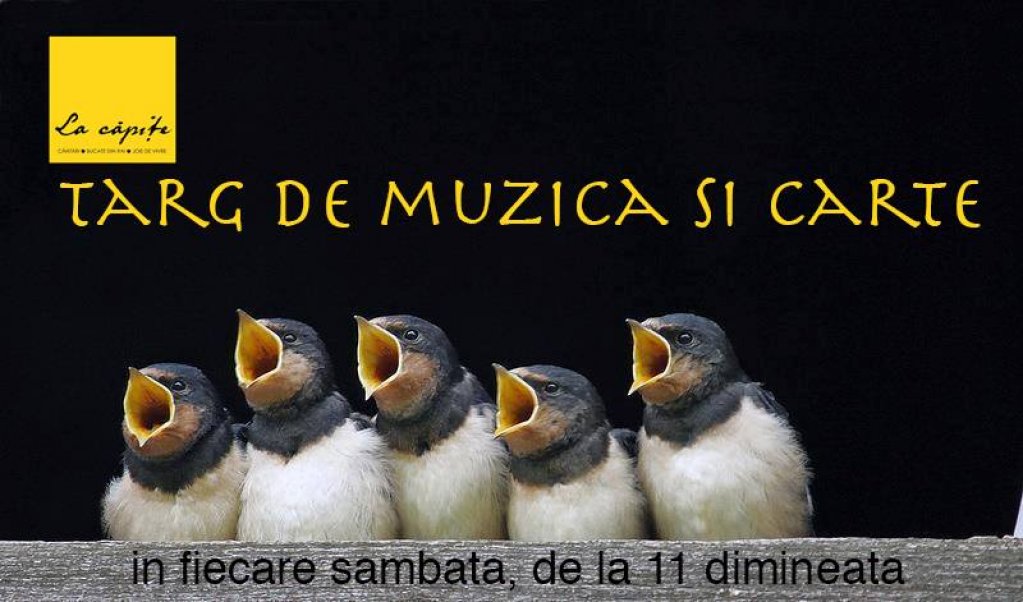 Targ de muzica si carte