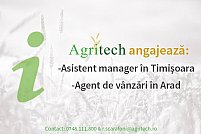 Asistent manager