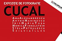 Expoziţia CuCal