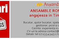 SC Ansamble Catering & Services Romania SRL