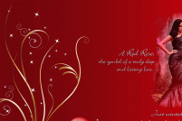Valentine's Day by Restaurant La Rousse Timisoara