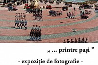 PRINTRE PASI