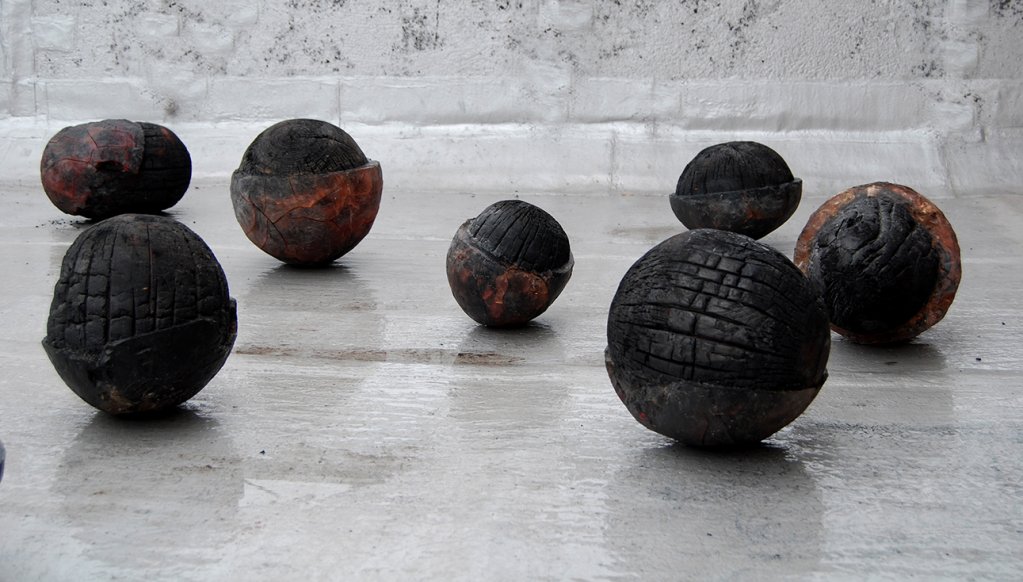 Danica Bicanic - „Transformation”