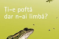 Curs de limba engleza incepatori - ExamPlus