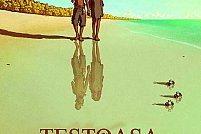 Testoasa rosie 2D
