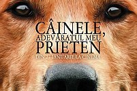 Cainele, adevaratul meu prieten
