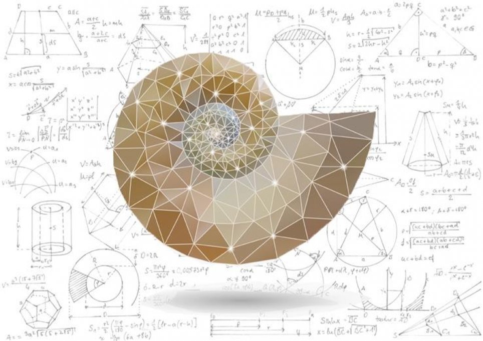 Inteligenta logico-matematica