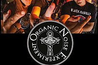 Concert Organic Noise Experiment