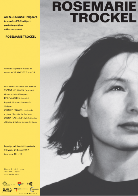 Rosemarie Trockel - expozitie de arta contemporana