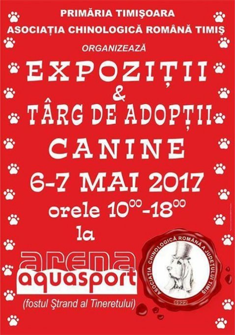Expozitie canina la Timisoara