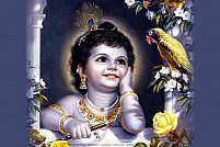 Krishna Fest