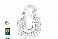 Expozitia Native American Art- an Ink Perspective