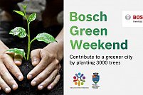 bosch green