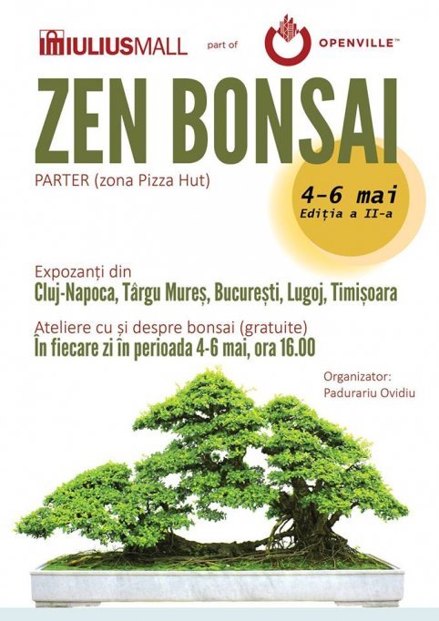 Expozitie Bonsai