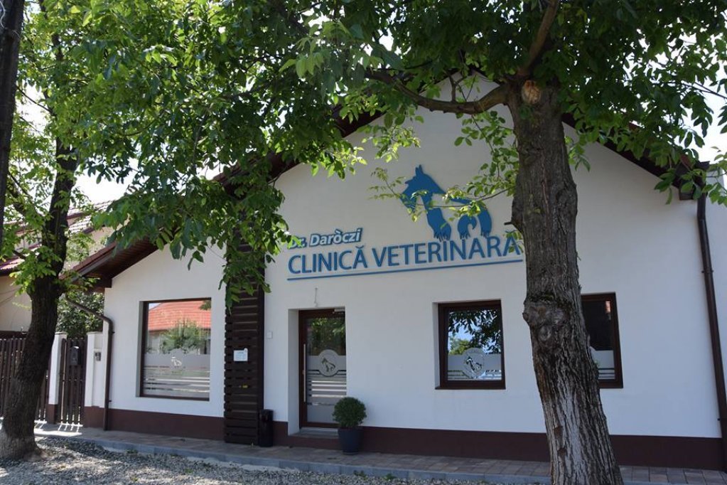 Daroczi Vet Clinic