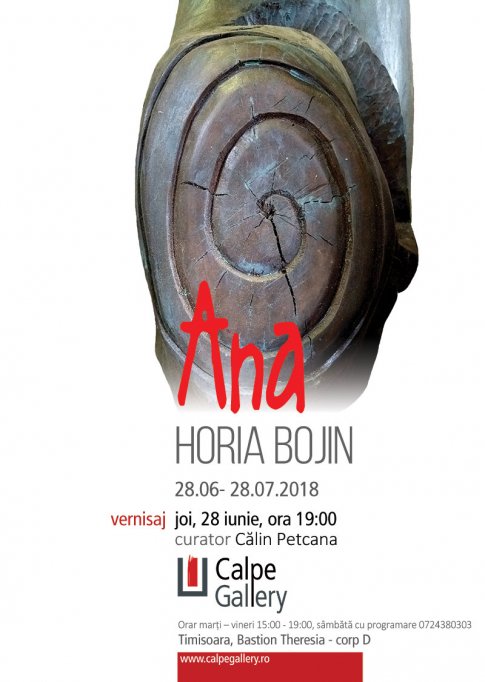 Expozitie de sculptura si desen Horia Bojin – Ana