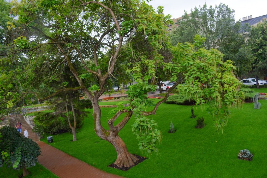 Parcul Alpinet
