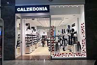 Manager magazin Calzedonia