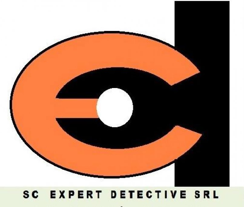 Expert Detective