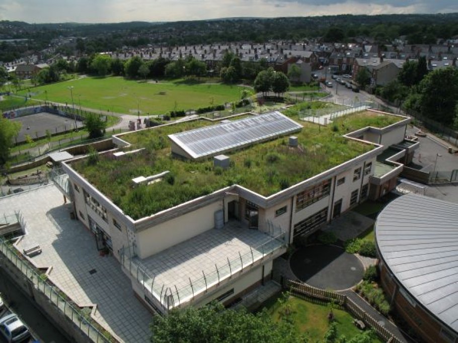 Acoperisul verde pentru terasa – inovatia care te va aduce mai aproape de natura