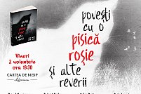 Poveşti cu o pisică roşie şi alte reverii | Expoziție Foto