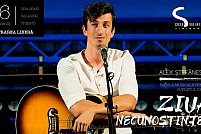 Concert Alex Stefanescu