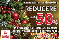 Brazi la oferta de la Selgros Timisoara