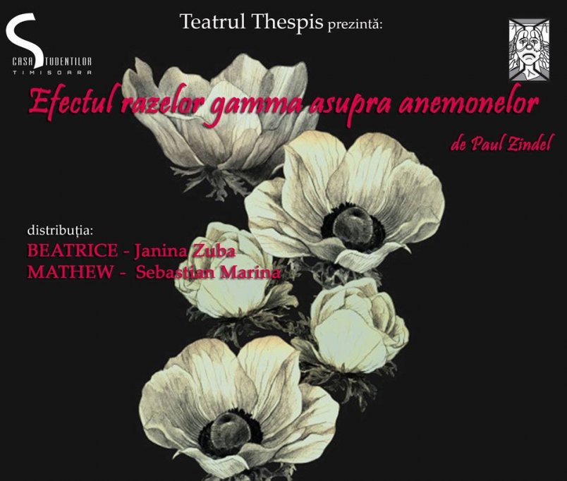 Efectul razelor gamma asupra anemonelor