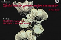 Efectul razelor gamma asupra anemonelor