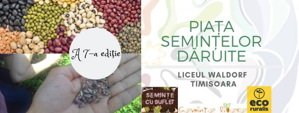 Piata Semintelor Daruite
