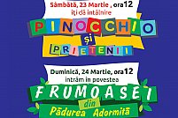 Teatru de papusi si ateliere de creatie