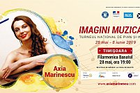 Recital de pian - Imagini Muzicale