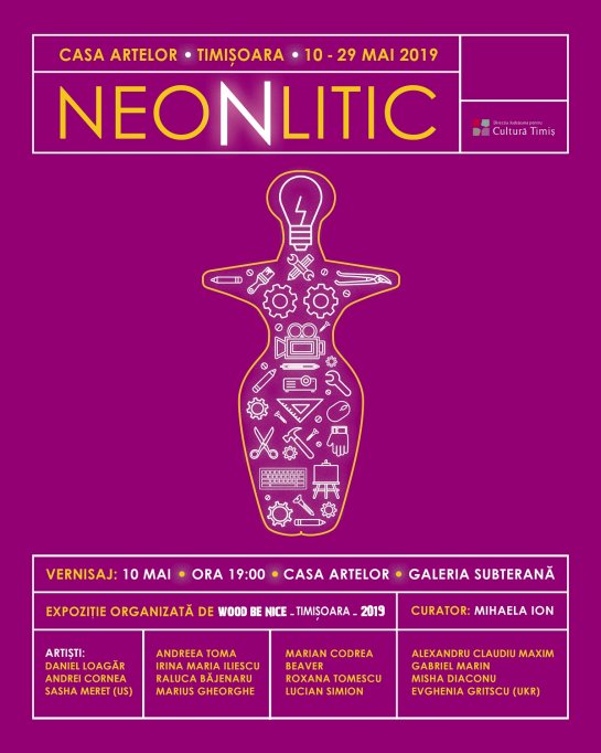 Expozitia NeoNlitic