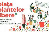 piata-plantelor-libere Piata Plantelor Libere