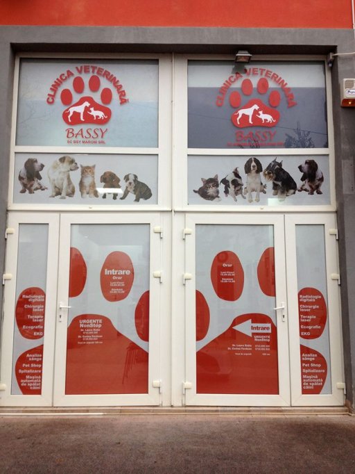 Clinica veterinara Bassy